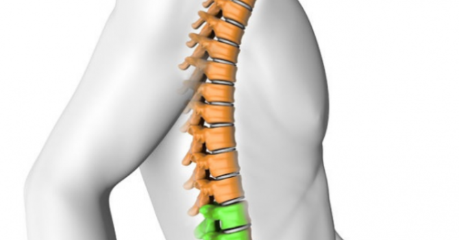Ways to Protect and Care for Your Spine image